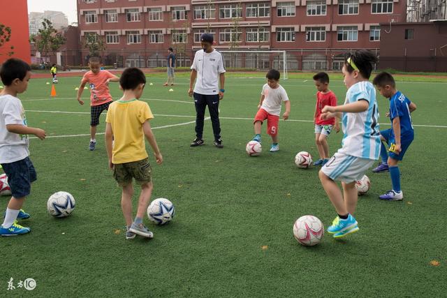 申台龙：未收到中国足协邀请 若有报价我就去执教